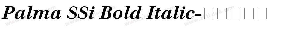 Palma SSi Bold Italic字体转换